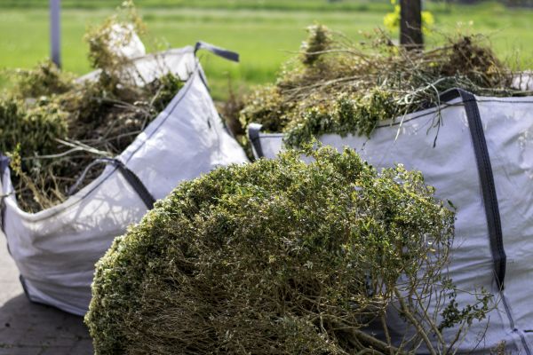 Cost of Shrubs Removal in Lawrence