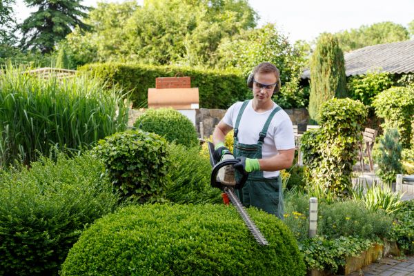 Cost of Shrubs Trimming in Lawrence