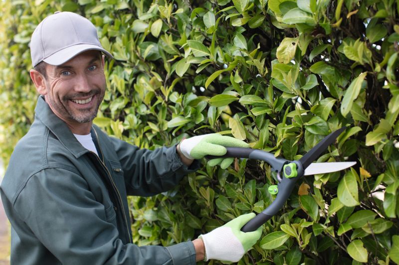 Weigela Pruning Service